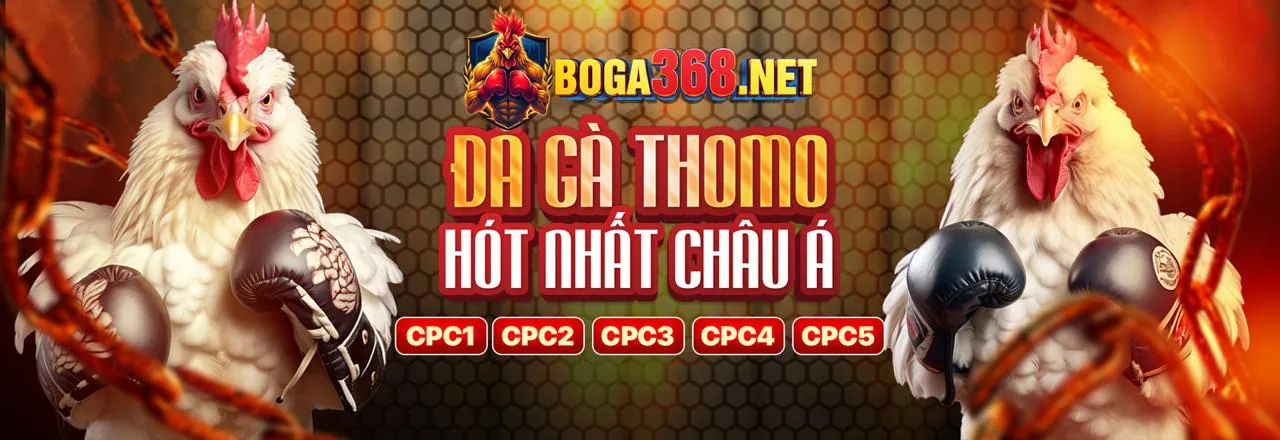 Các tính năng nổi bật của ứng dụng b66 nhà cái