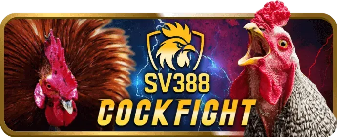 Giao diện đăng ký b66 nhà cái